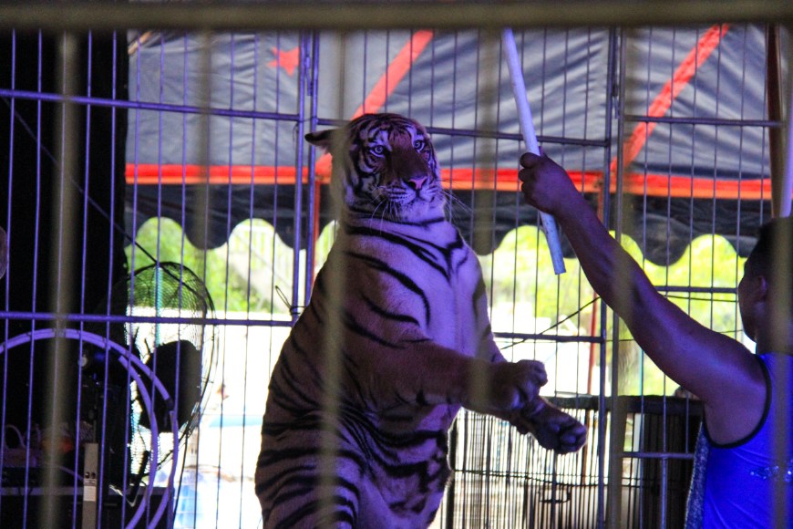 广州端午一日游最佳路线,广州端午游玩景点推荐附近