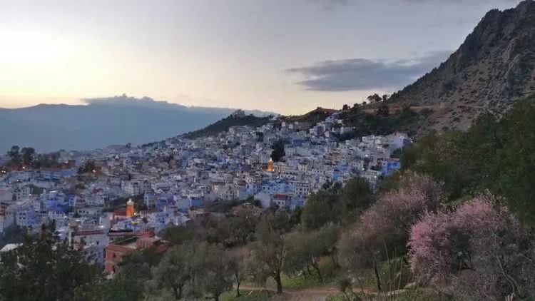 多肉如何度夏的方法,多肉夏天如何度夏