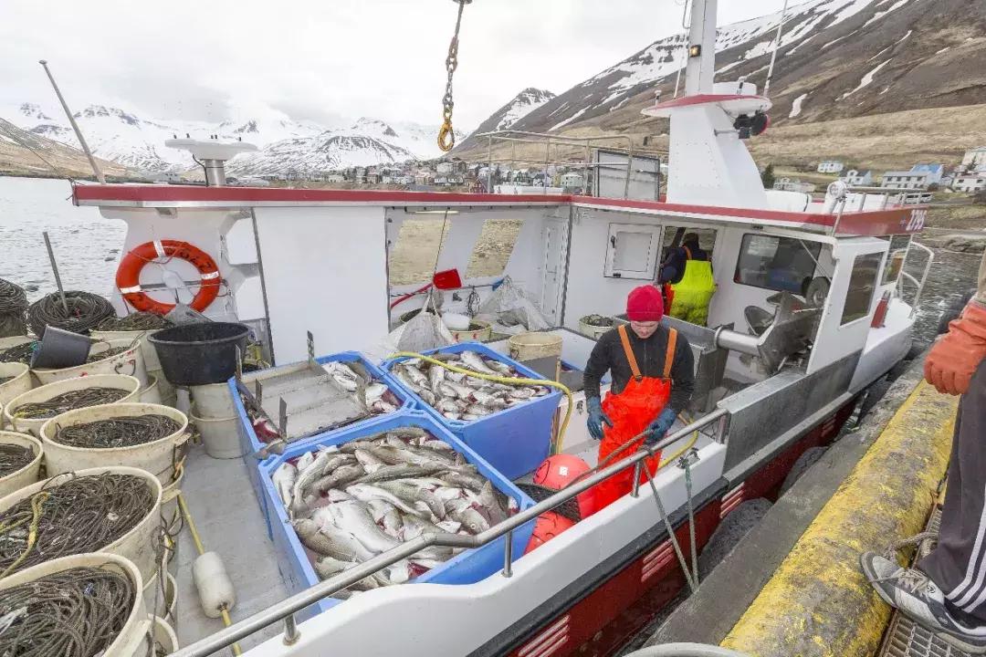 神奇的冰岛美景,神奇的大自然冰岛