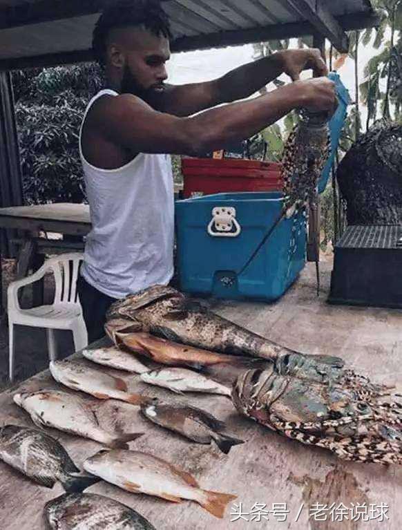 冰岛球员副业,冰岛足球队队员副业