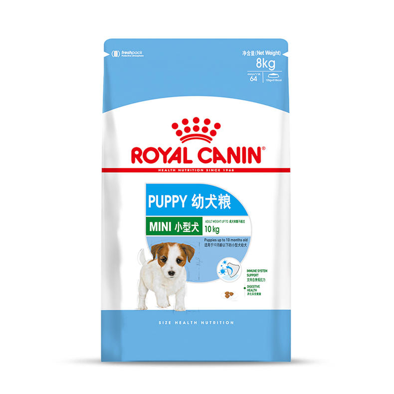 大家都爱养比熊,护理起来却有难度