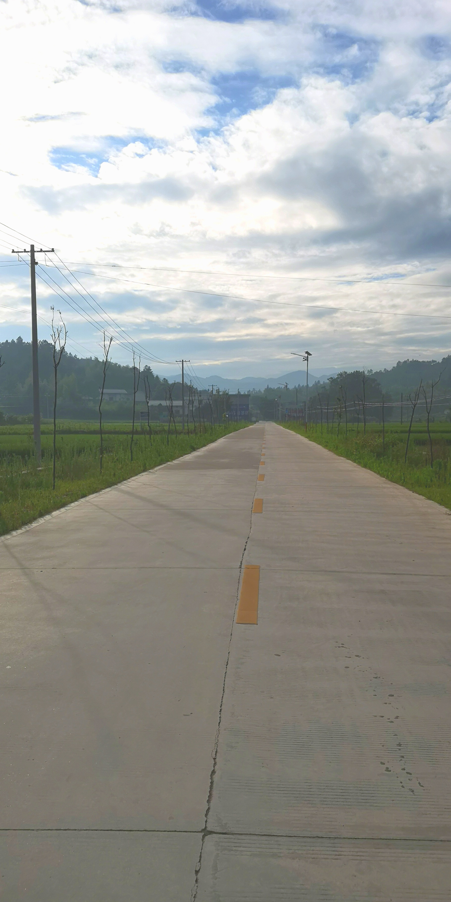 端午农家,民宿端午节美食