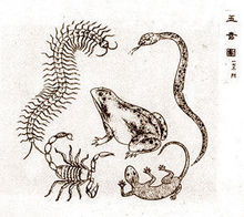 端午节有哪些民间风俗,家乡的风俗端午节赛龙舟