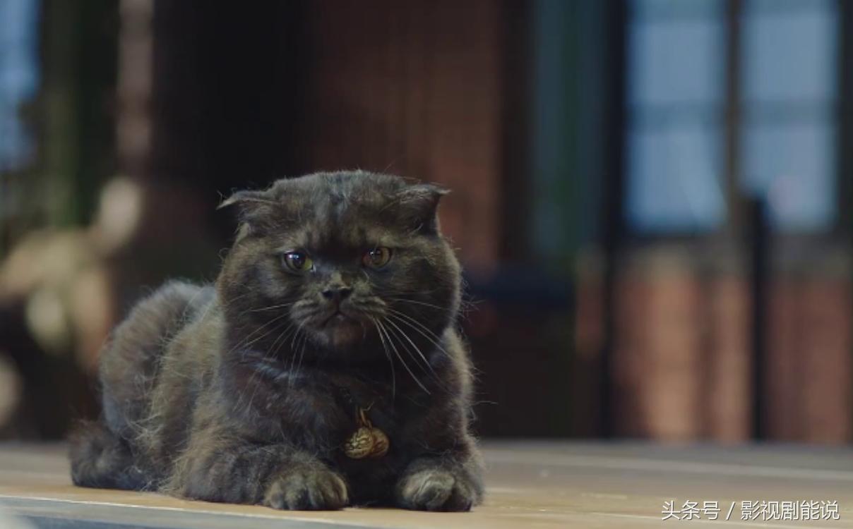 白宇朱一龙镇魂好不好看,朱一龙白宇看过镇魂的书