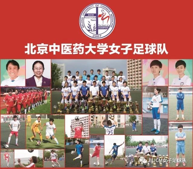 铿锵玫瑰归来小说,女足铿锵玫瑰回家