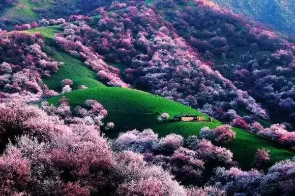 新疆哈密风景最美的地方,新疆哈密值得去的景点排名第一