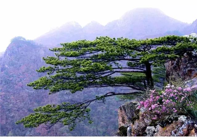 避暑攻略｜长春周边最美的8座山，最远不超过2小时，一起去登高！