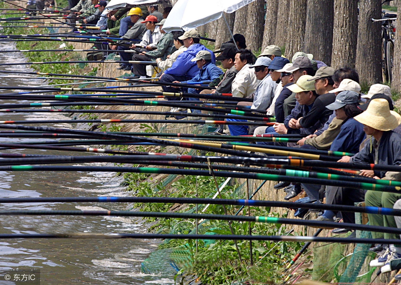 长竿短线钓法需要哪些东西,长竿短线逗钓技巧