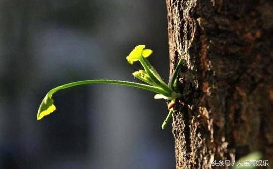 心理测试秒测你有没有享福命,心理测试测出你明年的困境是什么