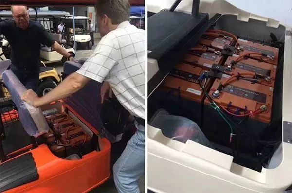 湖州看牛,湖州哪里可以看足球赛