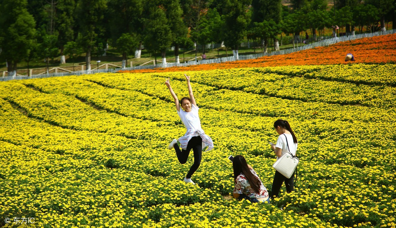 用最长的时间走最短的路,用最久的时间去做一个最简单事情