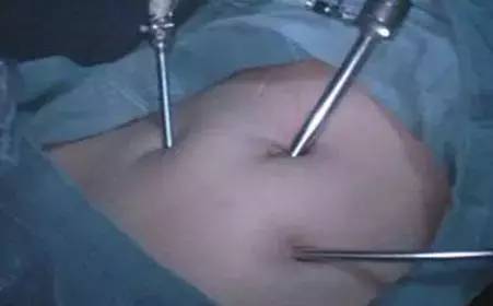 关于人类的10个谜团,人体的一百多个未解之谜