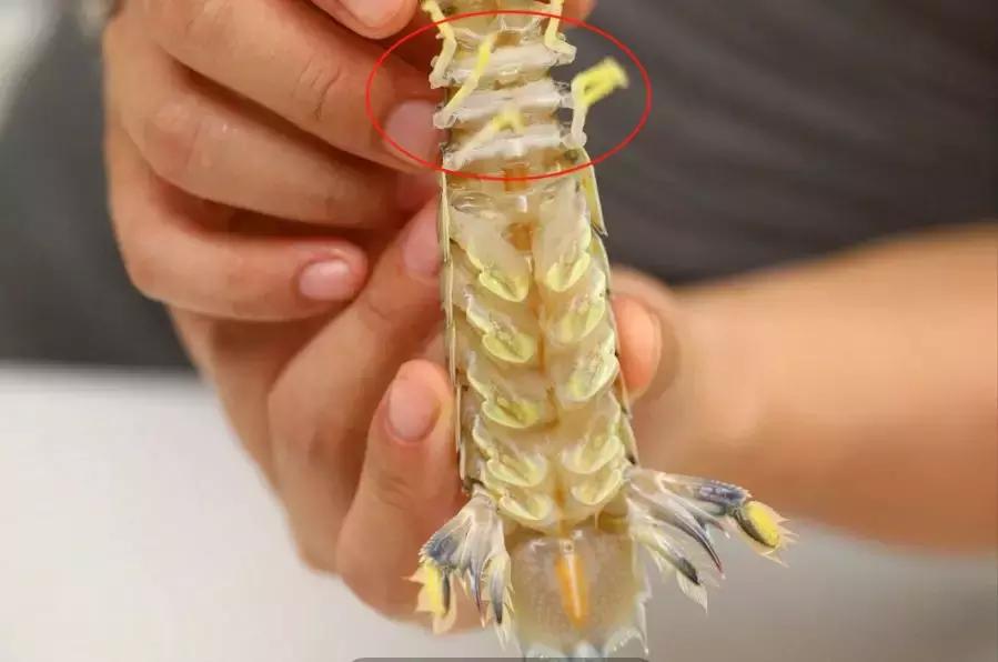 厨房小白也能做的吮指椒盐皮皮虾,椒盐皮皮虾怎么才能炸得酥脆