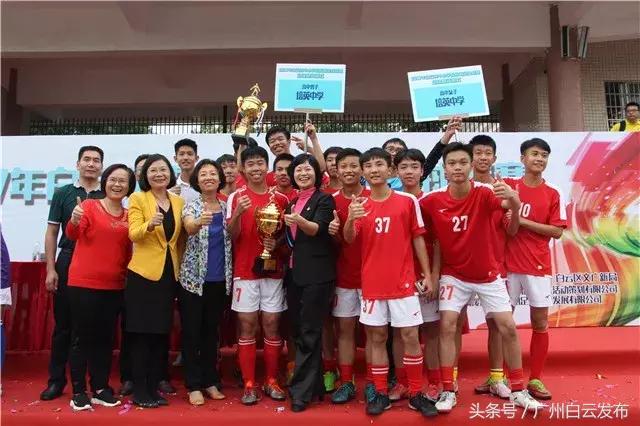 足球世界杯比赛现场气氛,世界杯绿茵盛宴