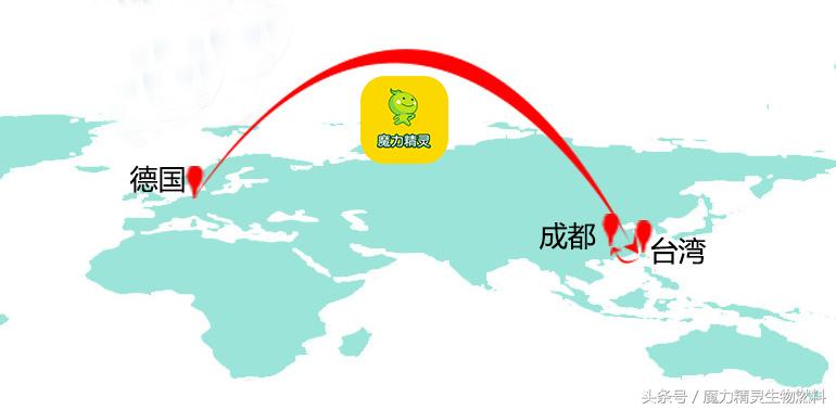 魔力精灵教大家辨别什么进口产品!