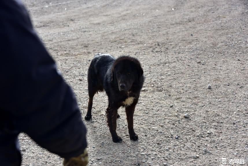 途达穿越阿里无人区,途达能去无人区么