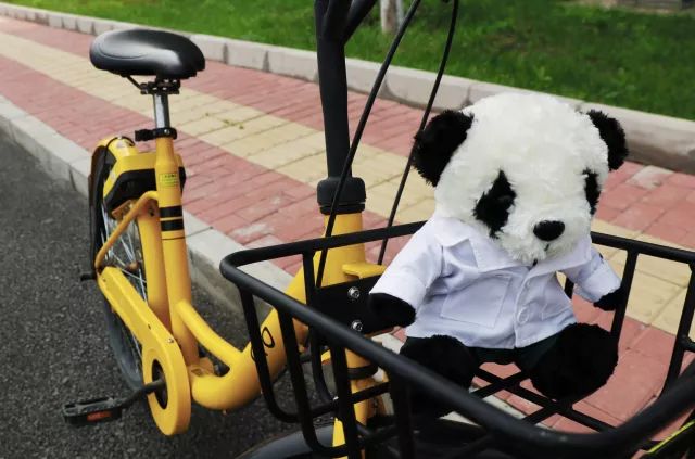 在中医诊所要做什么,在北中医读研的体验