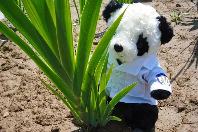 在中医诊所要做什么,在北中医读研的体验