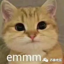 哈哈哈笑出腹肌！这届世界杯简直太“魔性”了！