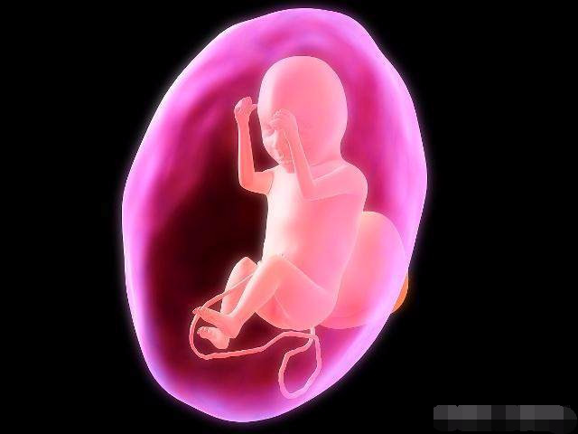 备孕期间叶酸应该什么时间段吃,备孕叶酸一天什么时候吃最合适