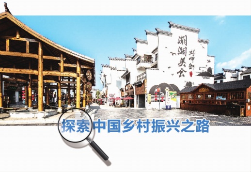 共同探讨乡村振兴发展思路,浔龙河乡村振兴工作