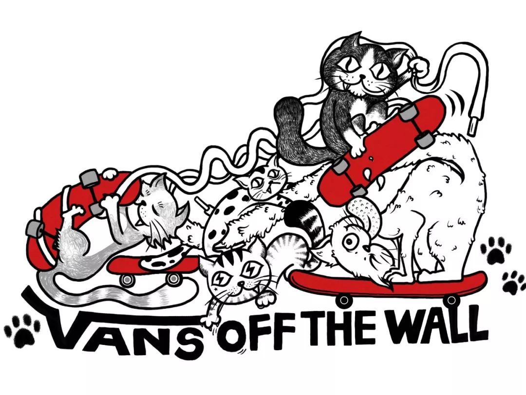 匡威和vans哪个更适合胖脚,vansstyle36和匡威1970s哪个好穿