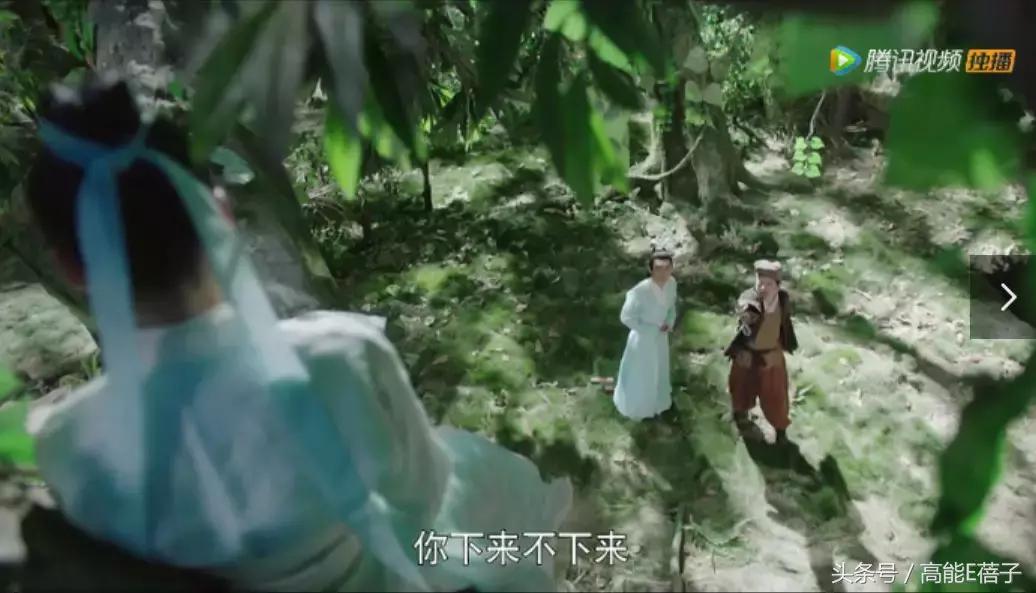 扶摇中阮经天饰演角色叫什么名字,扶摇电视剧扶摇变身凤凰片段