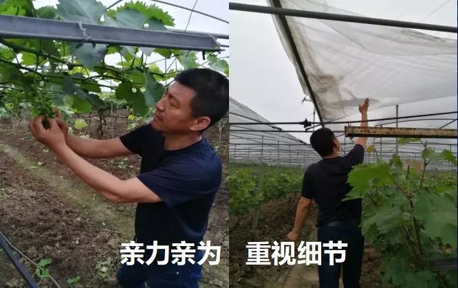 总有一款适合你春耕备耕进行中,现代农业案例分享