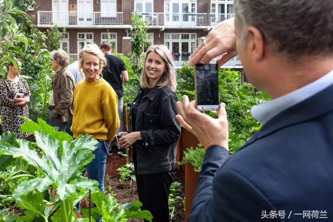 这家华人酒店有来头,海牙市长参观天台花园