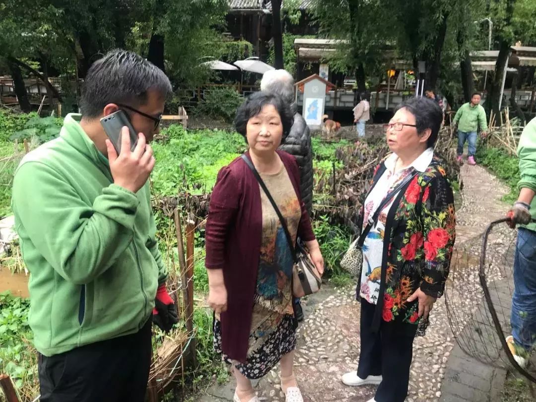 「今日丽江」丽江互联网牵手旅游，今年将培养千名旅游咨询师/激情世界杯酒驾整治不打烊