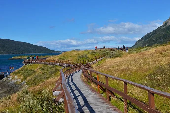 世界杯决赛潘帕斯雄鹰高卢,世界杯潘帕斯进球