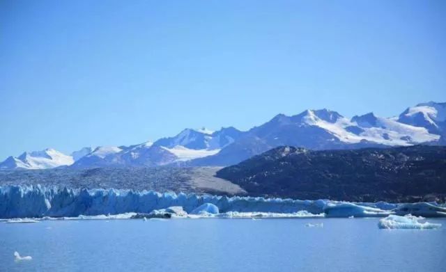 世界杯决赛潘帕斯雄鹰高卢,格子军团vs潘帕斯雄鹰复仇之刃