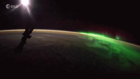 不间断直播180个小时,24小时直播撸猫