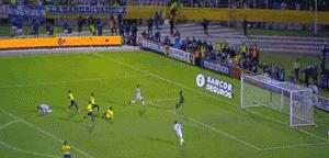 不容错过精彩视频,不容错过的精彩