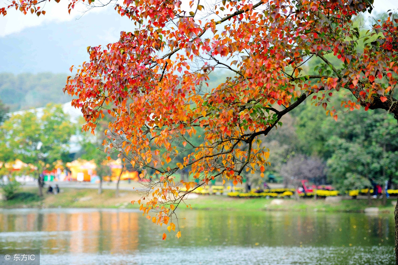 ps图层混合模式计算公式是什么,ps图层样式混合选项使用方法