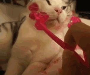 雷品拔草价格表,雷品拔草面膜