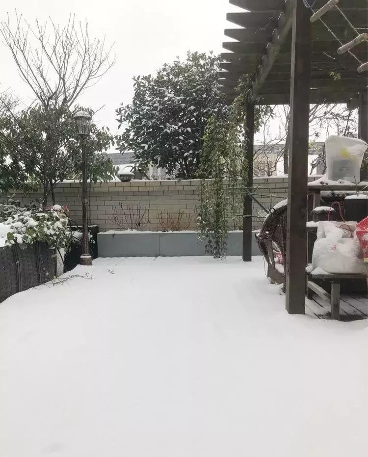 香香的花园自拍杆,香香的花围墙推荐