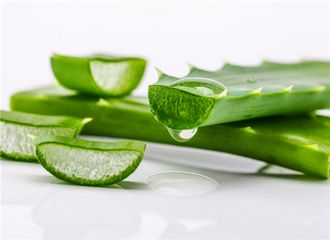 被毒蚊子咬了怎么消肿止痒的药膏,蚊子咬了手指头怎么消肿止痒最快