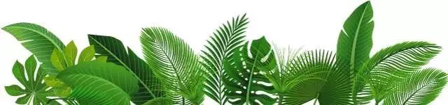 学费有补助，毕业就是事业编！衢州这些定向培养计划了解一下……