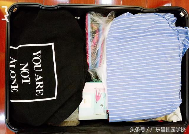 欧洲“传骑”开箱记！