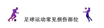 足球史上最可怕的重伤,足球场上恐怖的受伤瞬间断腿