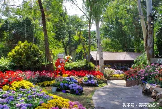 去清迈要做的60件事,去清迈