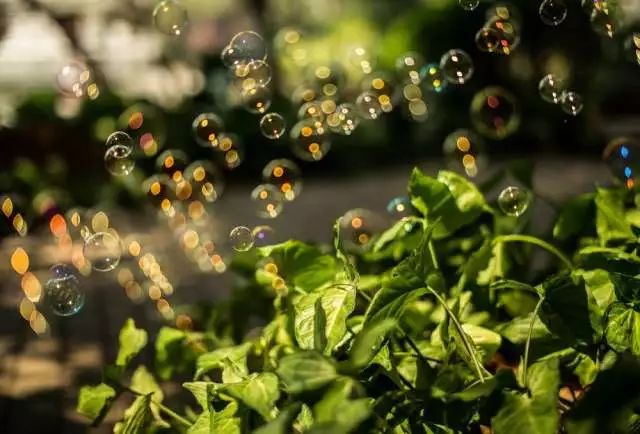 北京至内蒙古旅游坐什么火车,北京去内蒙古高铁旅游线路