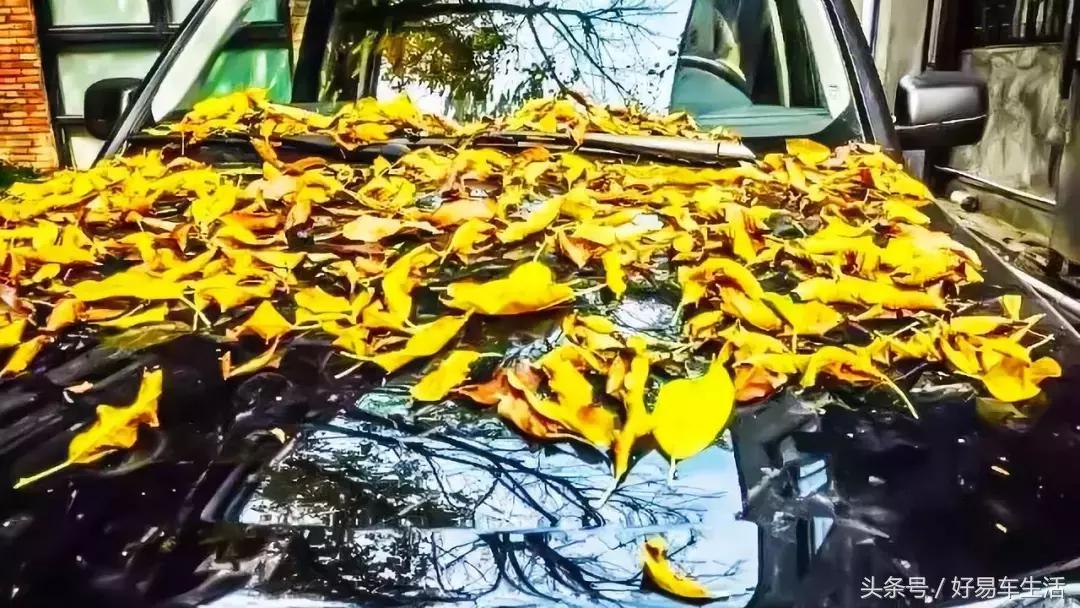 烈日下被暴晒,烈日暴晒车