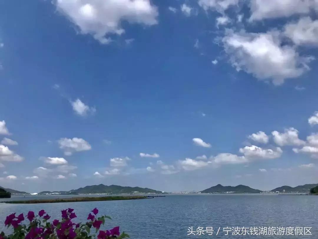 世界杯真好看,俄罗斯世界杯最好看的比赛