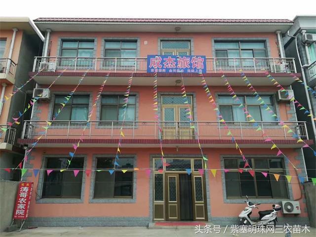 南戴河*哥涛**农家院（成杰宾馆）云烟天外黄金缕，渔火滩头绿酒家！