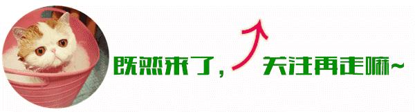 醋疗中药秘方一览表,醋的食疗方法大全