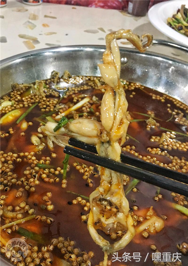 重庆南坪世界杯看球地点,重庆看世界杯推荐去处