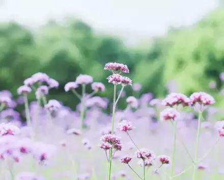 重庆耍事推荐,重庆耍事完整版