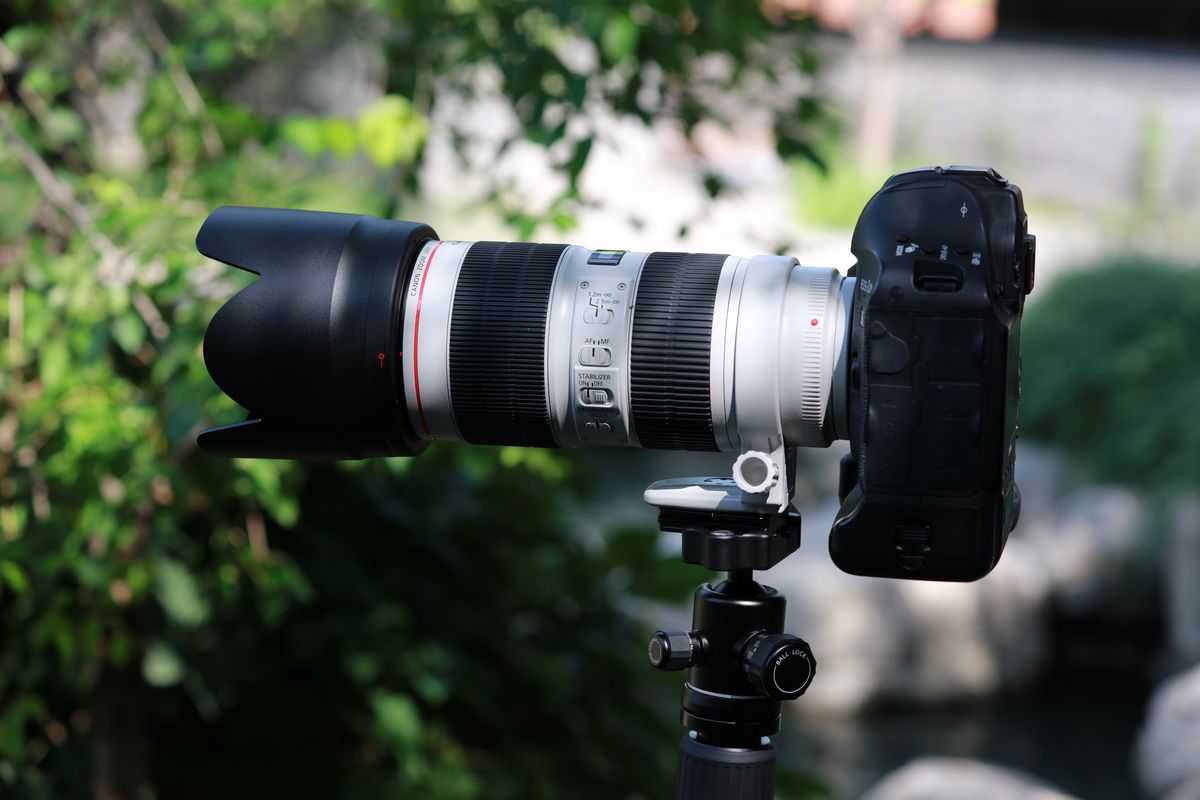 爱死小白伞星空,爱死小白和小白兔